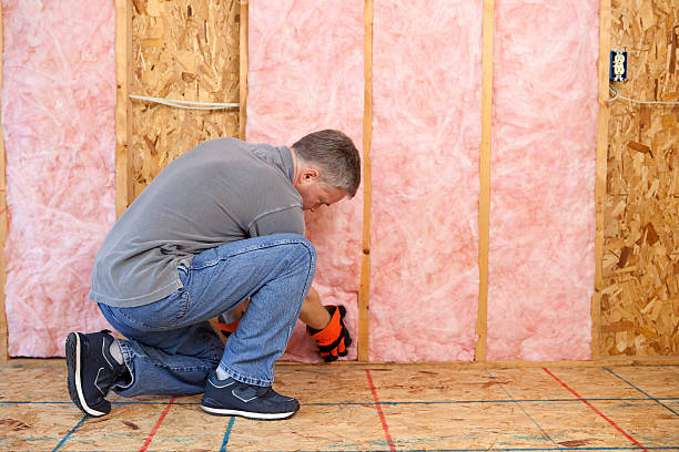 Best Home Insulation Services  in The Crossings, FL